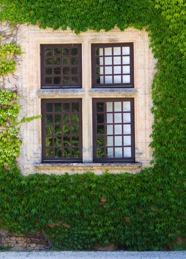 fenetre à meneau